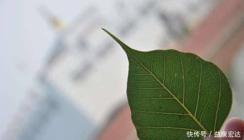 阴历|阴历哪几天出生的孩子,是上等命,孝顺又有出息,早晚出人头地