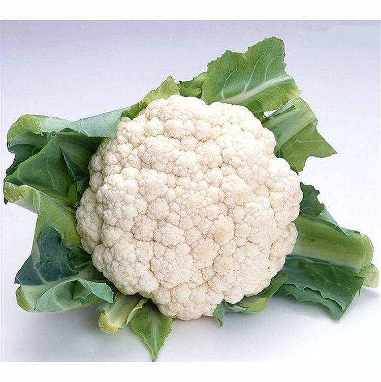 冬天养生正当时,多吃3种食物,缓解疲劳,补血养颜清理体内毒素