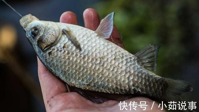 这几种钓鱼方式被禁止,钓友们要牢记,千万别犯错!