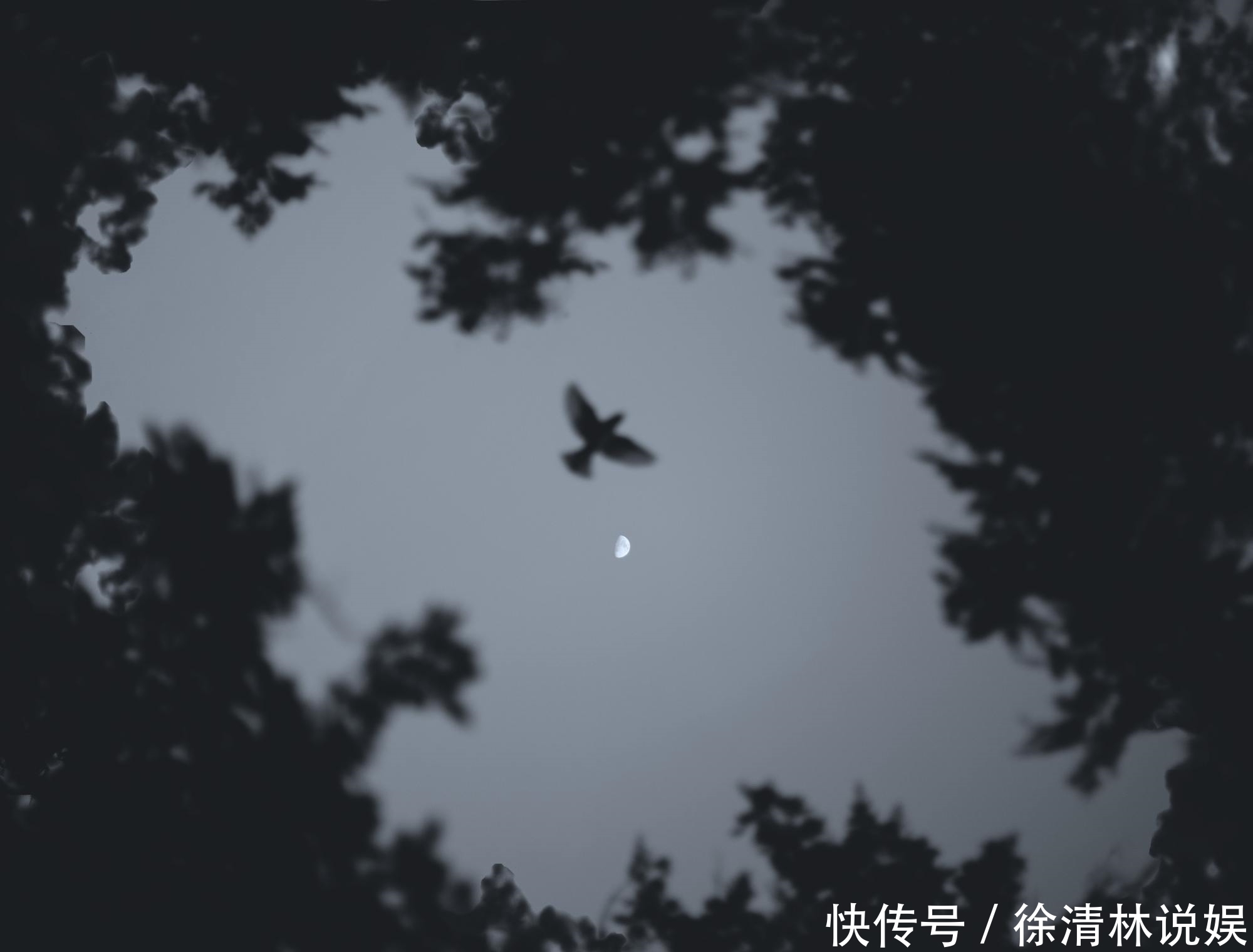 诗歌|李商隐很经典的一首《无题》,最后14字惆怅朦胧,值得一读