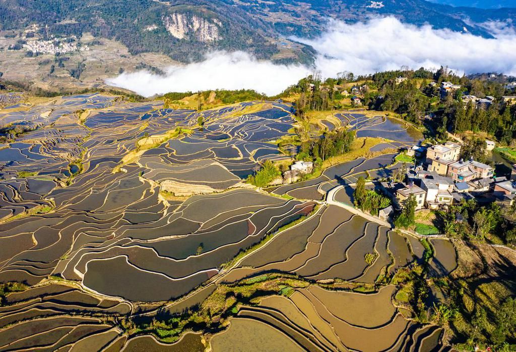 壮美元阳梯田，哈尼族人的大地艺术杰作