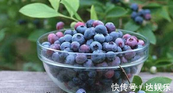 猕猴桃|女人吃猪皮能补充胶原蛋白不如常吃4种食物,抗衰老还不易发胖