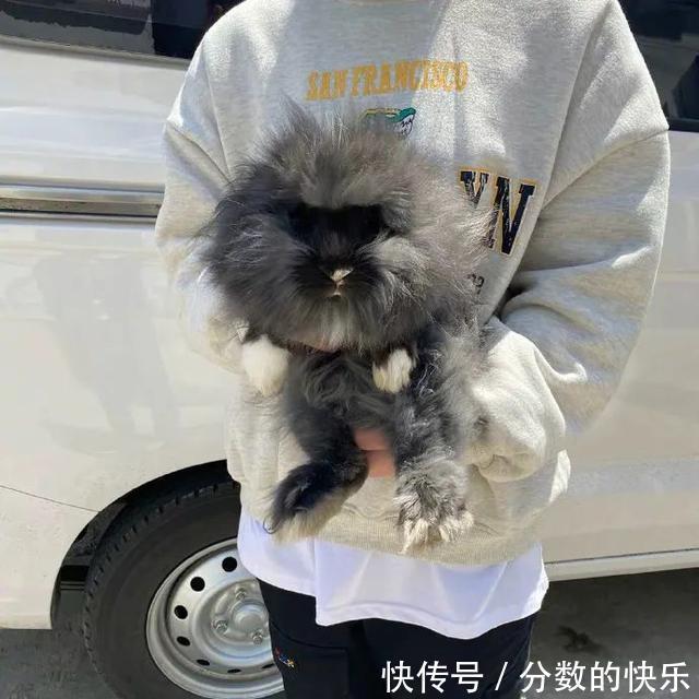 |朋友在你脱单路上的重要性 冷段子1794