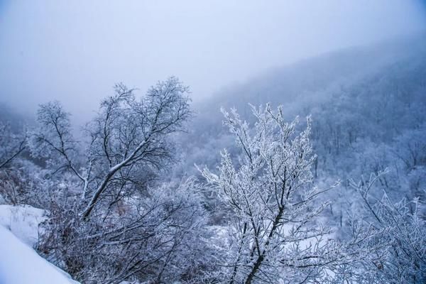 大河客户端|组图 ? 大雪纷飞，银装素裹，云台山宛若童话世界