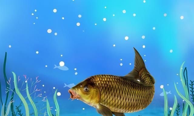 钓鱼|钓鱼的核心要素,全部领悟并掌握,你离“钓神”不远了