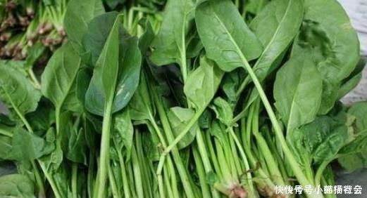 医生|很多人喜欢吃菠菜,医生提醒2类人别吃,最好一点别沾