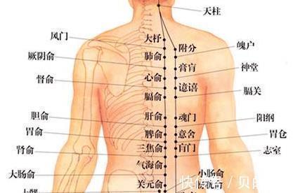 背部|养颜不如养背！灸通背部“一脉三关”，一通百通，百病不缠身！