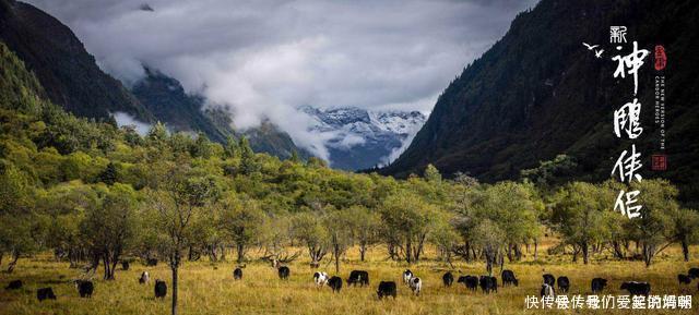 神雕大战怪蛇,杨过如果帮助怪蛇,他将得到另一把宝剑和一套神功!