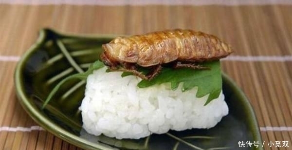 饿到|如果你饿到头晕,只能选1种黑暗料理填饱肚子网友我选饿死