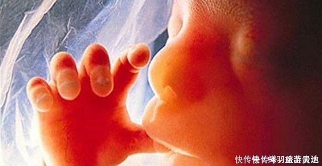 宝宝|除了睡觉胎宝一天都干啥医生胎儿“娱乐活动”丰富,忙到飞起