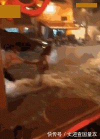 |搞笑GIF: 请原谅我不厚道的笑了 吃饭的时候最好不要看