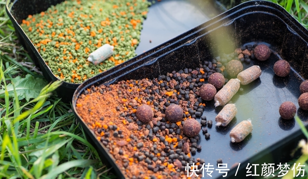 钓鲫鱼总是遇到白条闹窝根本钓不成，怎么办?