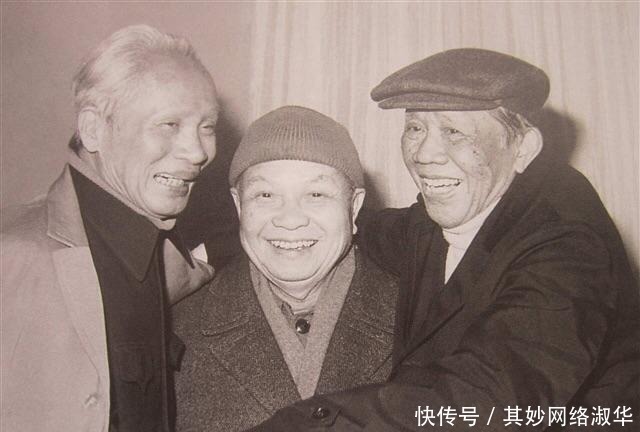 元首|黎笋突然病逝后,谁接任越南“一把手”一位亲华元首,只干半年