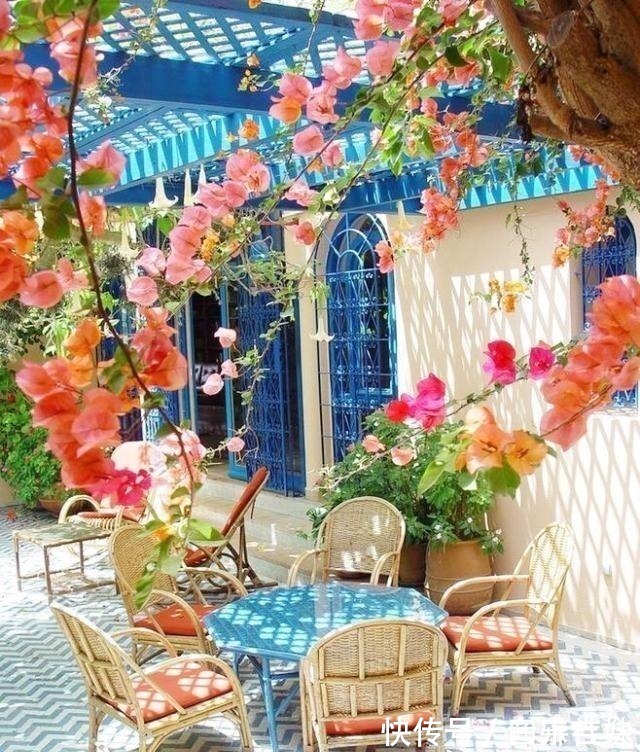 池塘|假如我有一个庭院,我会晒晒太阳种种花,带你看遍世间繁华