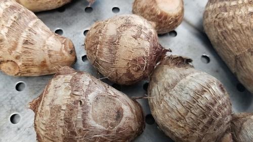 教你5个小妙招,挑选优质软糯芋头,爱吃芋头的朋友一定要学学!