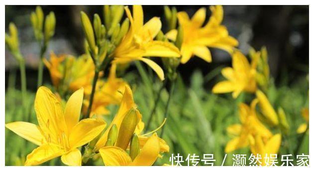 会吃的人最长寿,常吃3种食物,补充营养,排毒抗衰,营养又瘦身