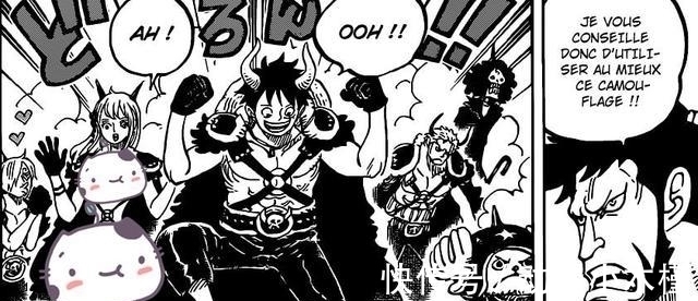 退坑|海贼王,汉化大佬宣布退坑,你还在等978话的漫画吗?