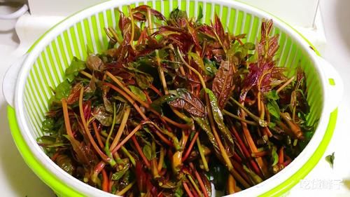 春天到了，因此春天遇到這4菜別錯過，等長大了叫白蒿，營養(yǎng)高味道鮮美