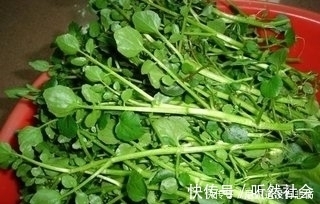 抗衰老素|农村长在水里的这些野菜，提高智力，润肺化痰，抗衰老，你认识吗