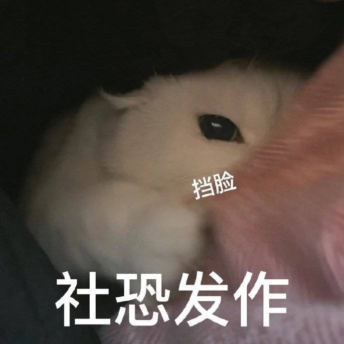 |笑话:当男人容易吗?冒着风险好不容易掀个