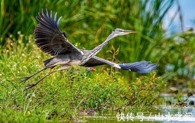 生物多样性公约|COP15｜红河，怎么可以这么好看！