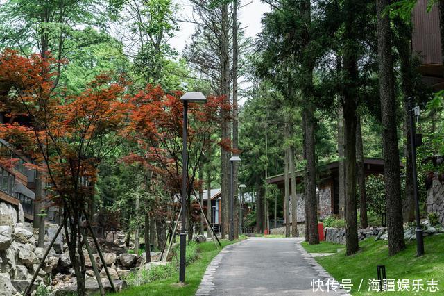 木屋|住进江南的原始森林，在白云之上的童话木屋里，做一个美梦