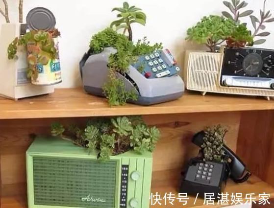 腐叶土|养花缺不了营养土不想要花钱买,就添加上它们,比买的还好