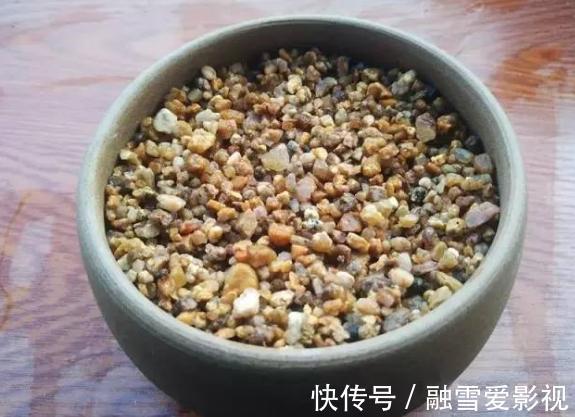 玻璃瓶|扦插多肉:怎么让枝叶早点生根发芽?这里就有4个方法