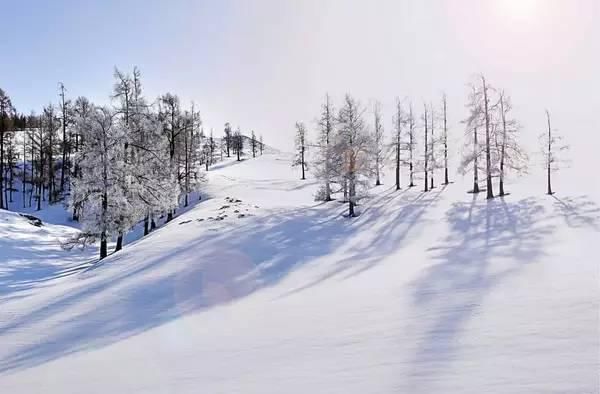 神话里|如果东北的雪景是童话，那北疆的雪景便是神话！