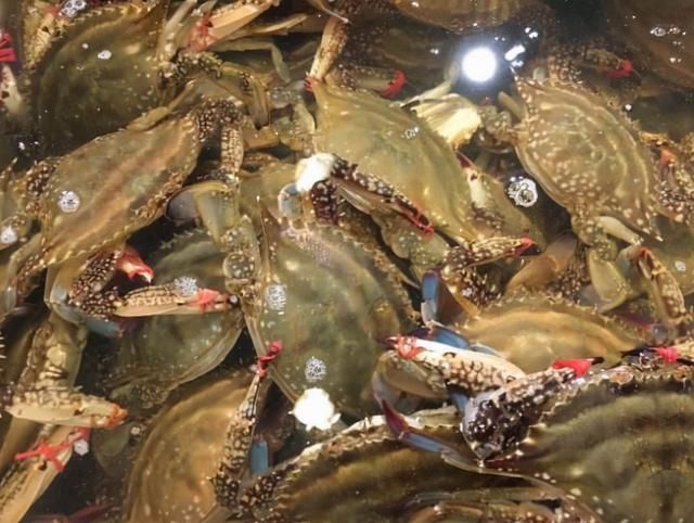 海鲜|含“寄生虫”最多的2种海鲜，没营养还贵，老板自己都不吃
