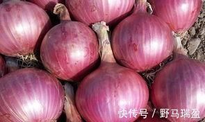 高血脂患者|高血脂患者：日常多吃4物，做好1事，平稳血脂，长寿会离你更近