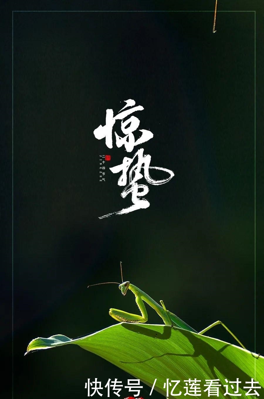 古人是如何过惊蛰的?清末民初湖北惊蛰打虾蟆习俗