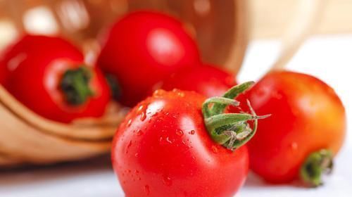 西红柿|保存西红柿别放冰箱,菜农教你两招,久放不坏,天天吃新鲜西红柿