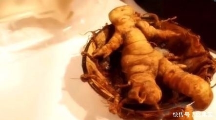 人参|意外挖到人参留念,第二天回看照片,吓出一身冷汗