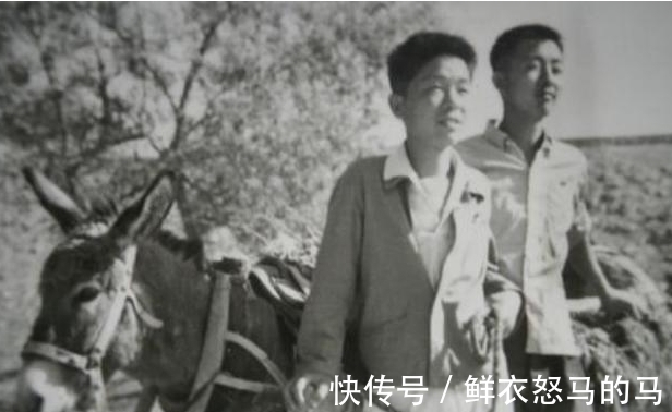 治病$20岁知青张志远为报恩,“嫁”31岁带4娃寡妇留大山,至今不悔