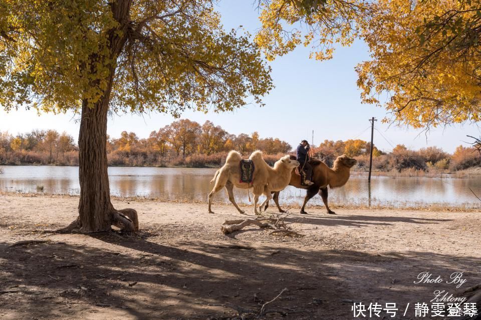 电影《英雄》取景地--内蒙额济纳，记录炫丽迷人的七彩丹霞地貌