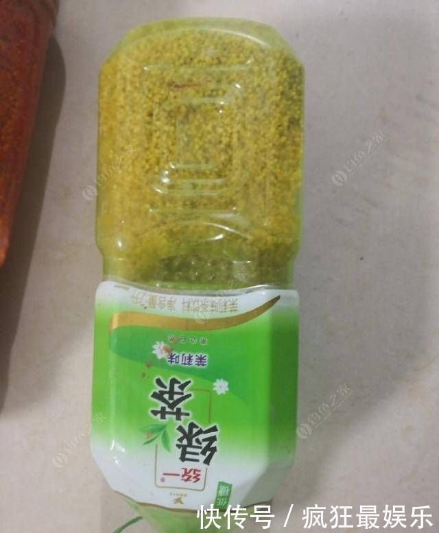 钓鲫鱼方法和窝料制作方法，自己研制的饵料，一般人我不告诉他