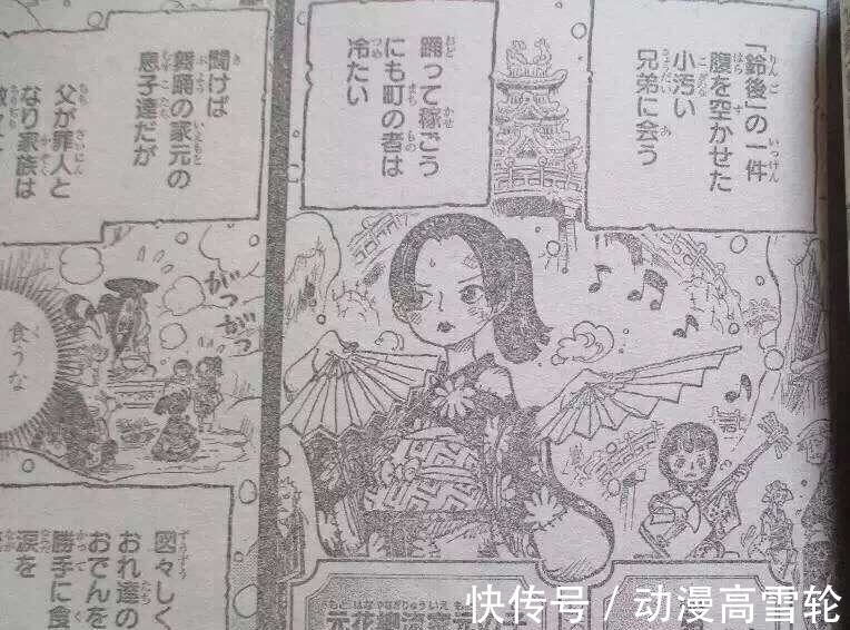 小菊|海贼王962情报:小菊男儿身又实锤,年轻大妈露脸,和女帝谁更美