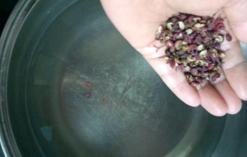 體內濕氣|花椒和此物一起泡腳,每天15分鐘,“趕走”體內濕氣,氣血暢通!