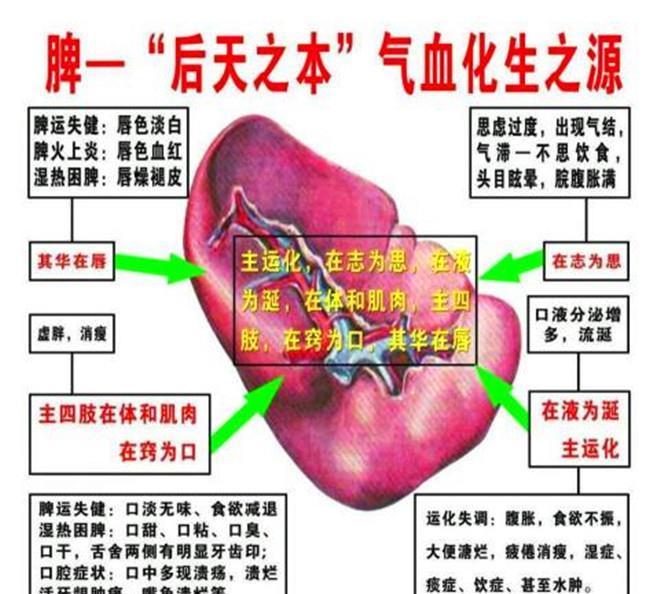 脾胃不好则心不好,中医教你一招,长按此穴养心护脾胃