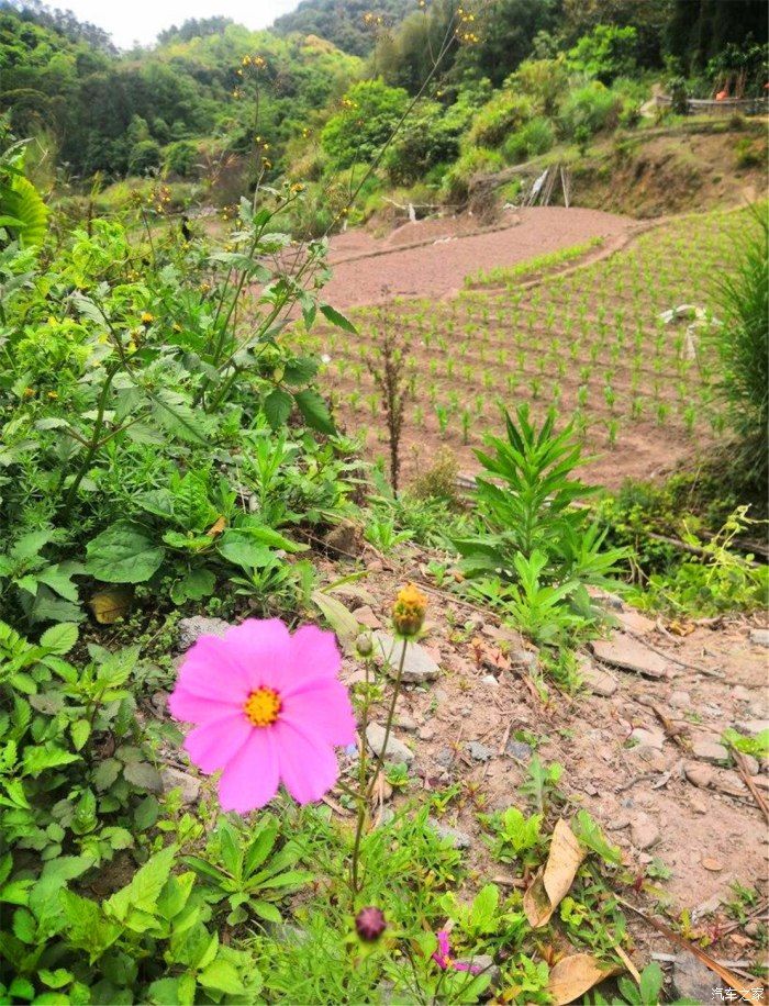 拍拍车|悠闲的周末，带孩子去山里看风景