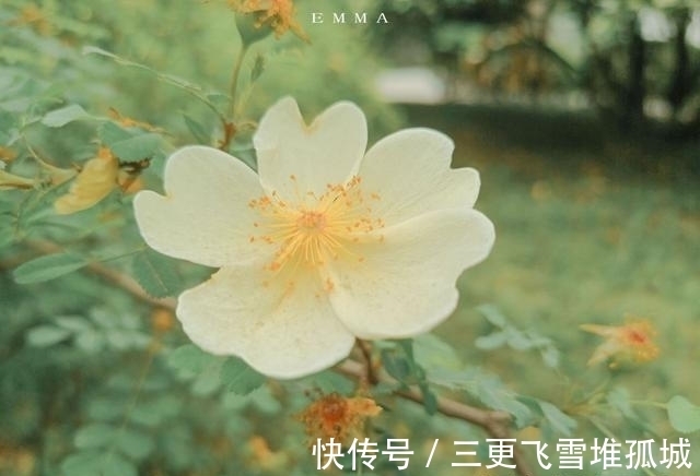 桃花|桃花入命，前任回归，重温旧爱，不愿放手，再续深情