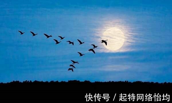 千古绝唱|李清照著名的《一剪梅》,堪称是千古绝唱,众多知名歌手都曾演唱