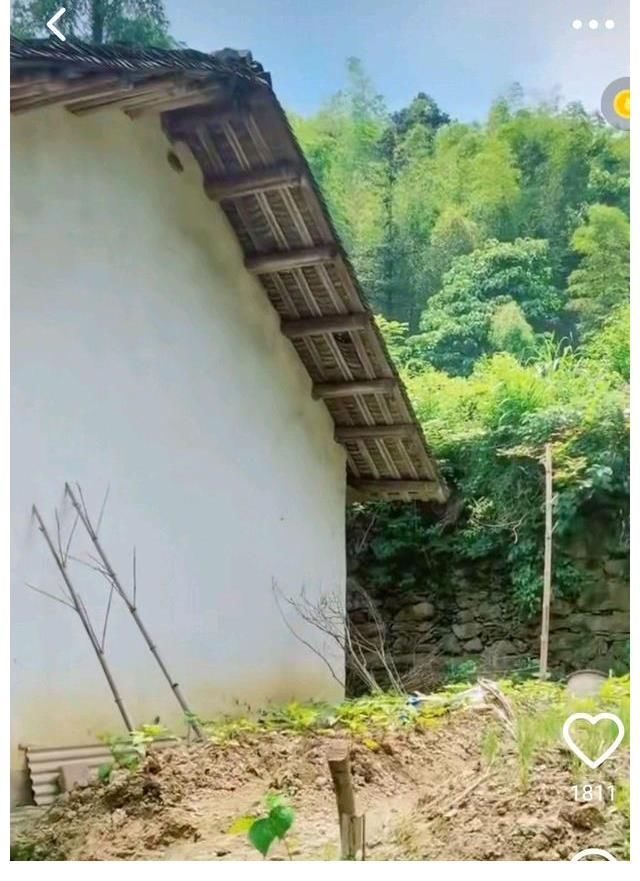 诋毁|相关推荐 许妈遭电话录音诋毁，悦悦跳手势舞《过端午》，网友：端午节团聚