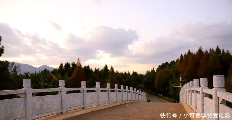 昆明|水杉林里划船，滇池湖畔欣赏睡美人，海洪湿地风景真美！