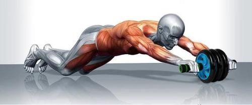 锻炼|想要练出强悍的核心力量,不要错过了健腹轮,同时刺激全身肌肉