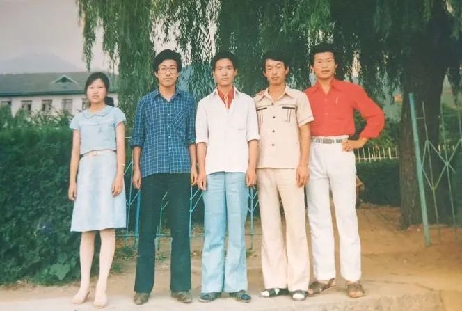 樱花班的回忆在线观看 樱花班的回忆在线观看