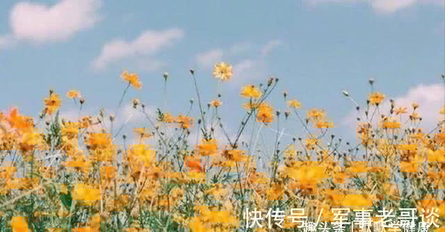 排痰|秋天是身体排痰的好季节，这样做养肺排痰，清除体内垃圾！