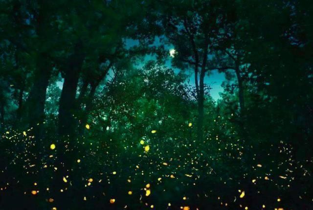 人生|唐诗中很冷门的一首诗,却蕴含人生哲理,值得一读再读