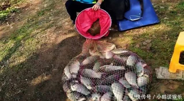 钓鱼打窝时,注意这3点,熟记5须知,钓好鱼不难